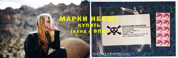гашик Аркадак
