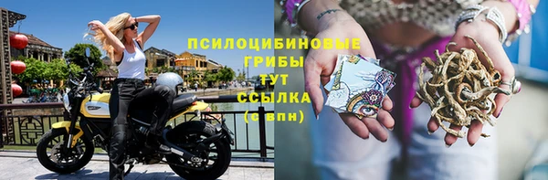 дмт Алексин